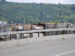2013-6-Autobahnbau-10