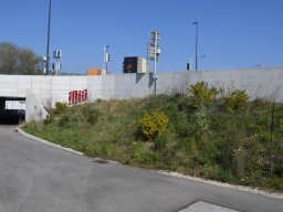 2020-Autobahnbau-18