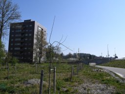 2020-Autobahnbau-30