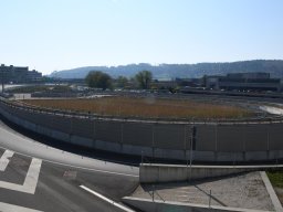 2020-Autobahnbau-9