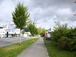 2025-Autobahnbau-1