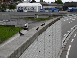 2025-Autobahnbau-45