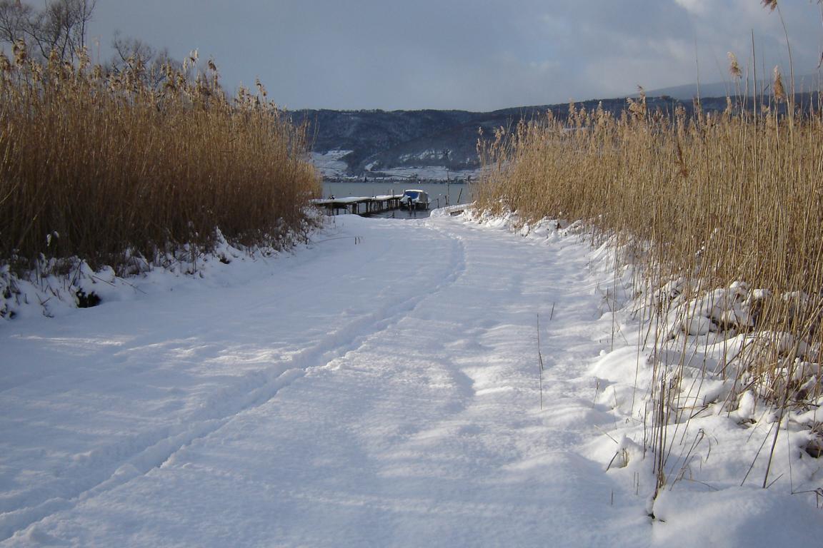 2005 Januar Ipsach 2