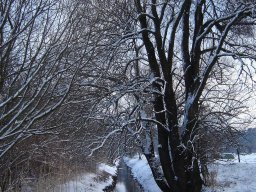 2005-Januar-Hagneck-1