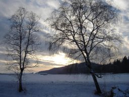 2005-Januar-Hagneck-2