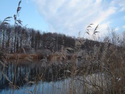 2005-Januar-Hagneck-3