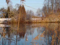 2005-Januar-Hagneck-5