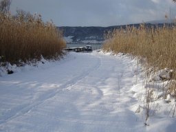 2005-Januar-Ipsach-2