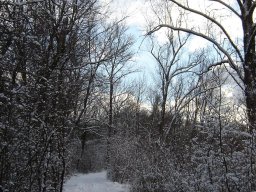 2005-Januar-Ipsach-7