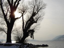 2005-Januar-Ipsach-8