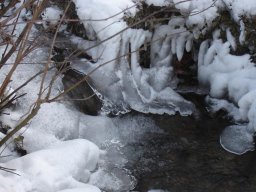 2005-Januar-Ipsach-9
