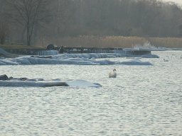 2012-Seegfroeri-11