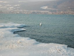 2012-Seegfroeri-12