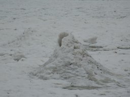 2012-Seegfroeri-15