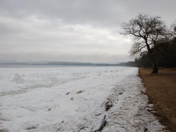 2012-Seegfroeri-17