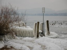 2012-Seegfroeri-18