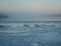 2012-Seegfroeri-24