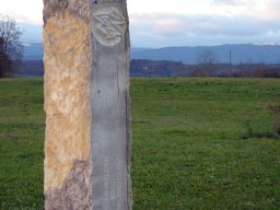 23-Janus-1