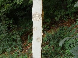 27-Altenberg