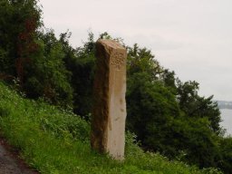 5-Wingreis