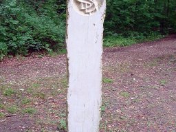 6-St.Petersinsel-2