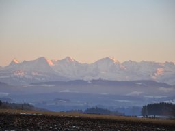 2013-12-Frieswil-3