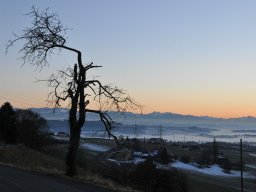 2013-12-Frieswil-8