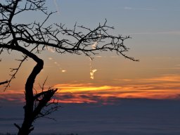 2013-12-Frieswil-9