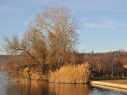 2013-12-Moosseedorf-4
