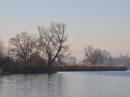 2013-12-Moosseedorf-5