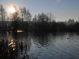 2013-12-Moosseedorf-7