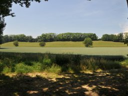 2015-6-Vullierans-11