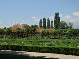 2015-6-Vullierans-25