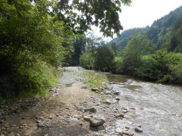 2016-Napfgoldsuche-4