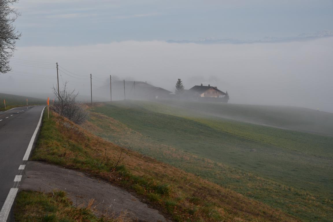 2019 12 31 Frienisberg 1