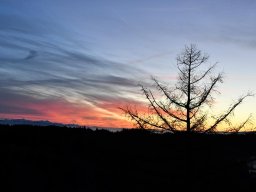 2019-12-31-Frienisberg-14