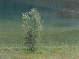 2020-Lauenensee-3