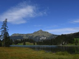 2020-Lauenensee-9