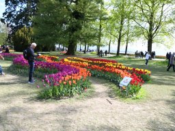 2025-Tulpen-Morges-27