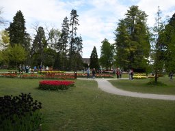 2025-Tulpen-Morges-36