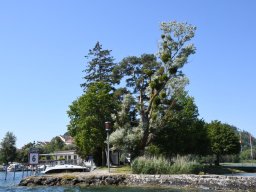 2020-3-Seen-Fahrt-3