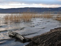 2018-Hagneck-Bielersee-3