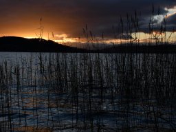 2018-Hagneck-Bielersee-5