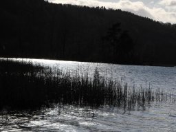 2022-Hagneck-Bielersee-5