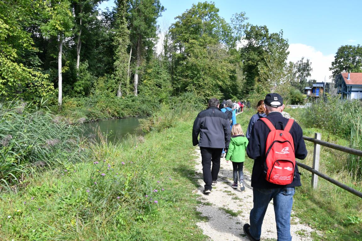 Wanderweg Aarberg Lyss alte Aare 2