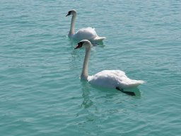 2022-Neuenburgersee-14