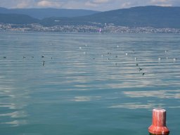 2022-Neuenburgersee-18