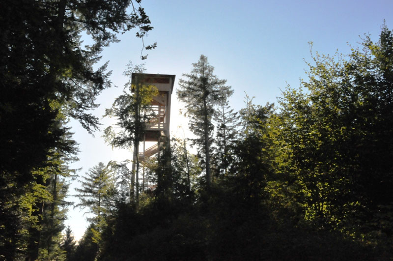 Chutzenturm 2010 1