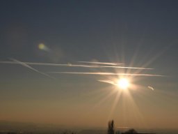 2022-Fraeschels-1