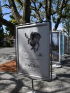 2024-Plakatausstellung-Lyss-11